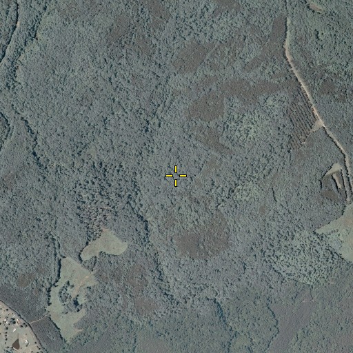 Aerial/Satellite Image of Rock Hill District, VA