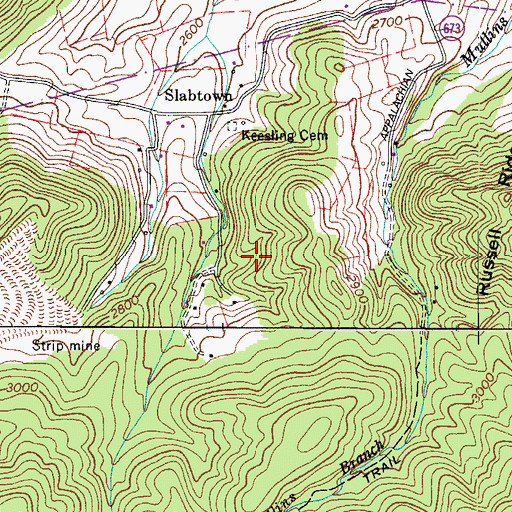 Topographic Map of Rye Valley District, VA