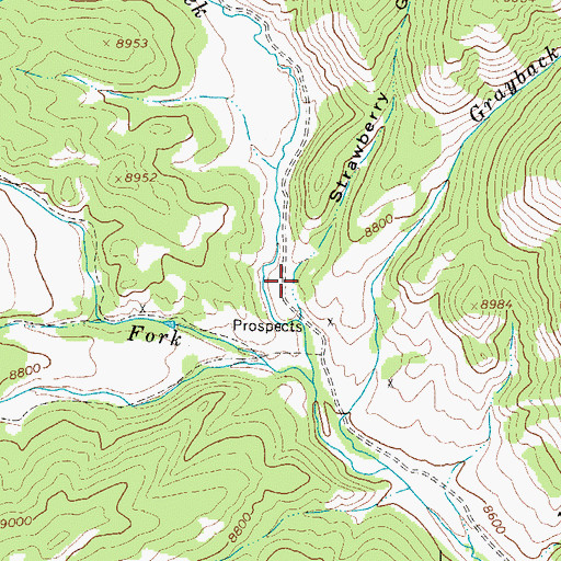 Topographic Map of Strawberry Gulch, CO