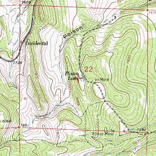 Topographic Map of Pinon Lake, CO