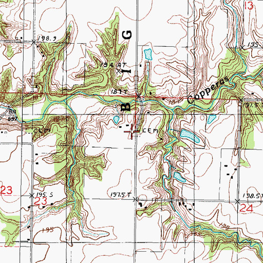 Topographic Map of Raney Cemetery, IL