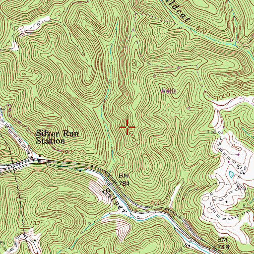 Topographic Map of Grant District, WV