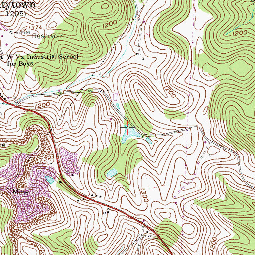 Topographic Map of Tygart District, WV