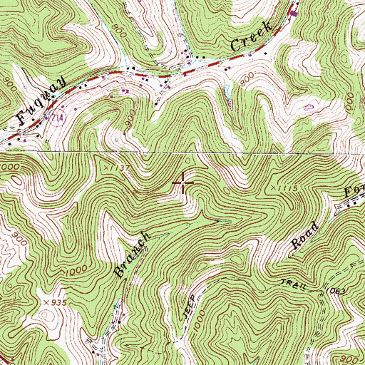 Topographic Map of Washington District (historical), WV
