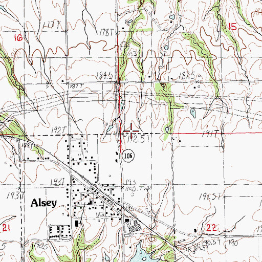 Topographic Map of Alsey Election Precinct, IL