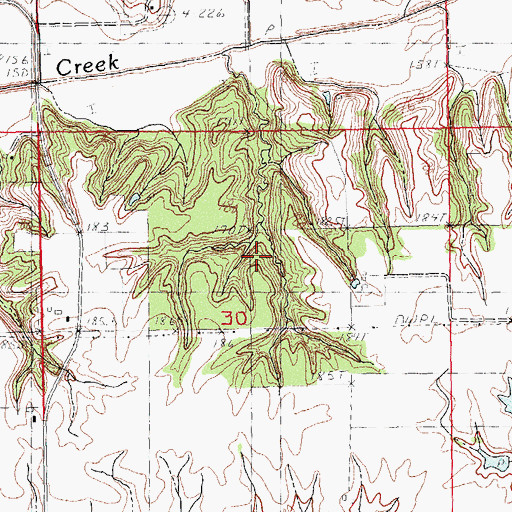 Topographic Map of Arcadia Election Precinct, IL