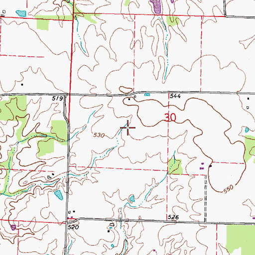 Topographic Map of Central Election Precinct, IL