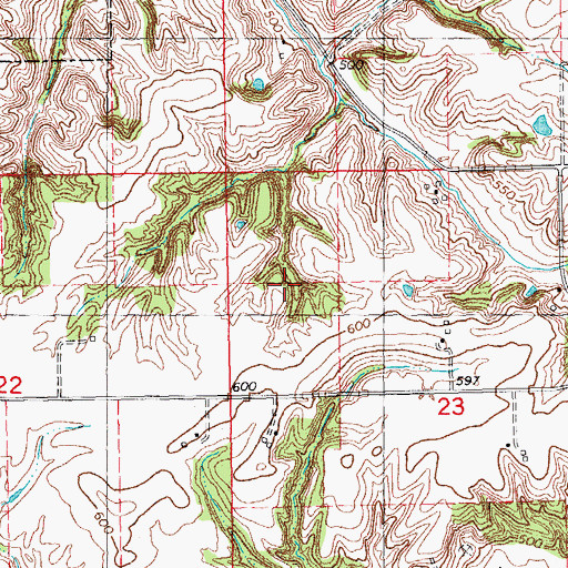 Topographic Map of Exeter-Bluffs Election Precinct, IL