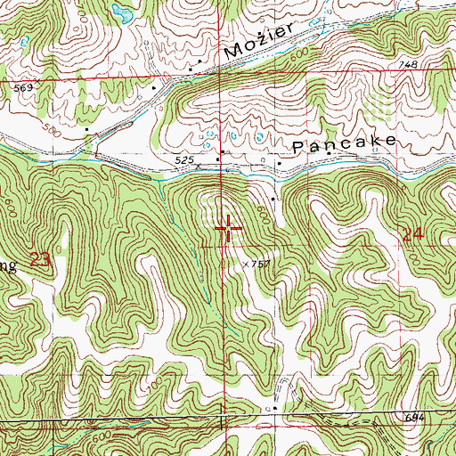 Topographic Map of Hamburg Election Precinct, IL