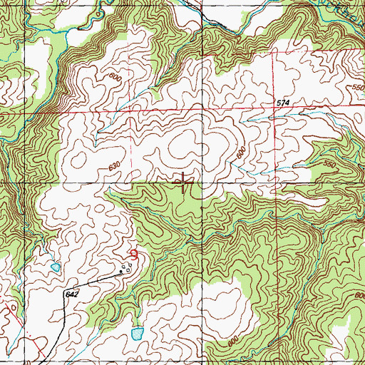 Topographic Map of Election Precinct 8, IL