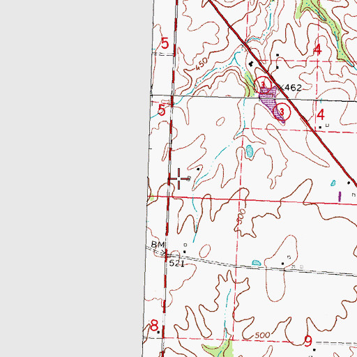 Topographic Map of Ruma Election Precinct, IL