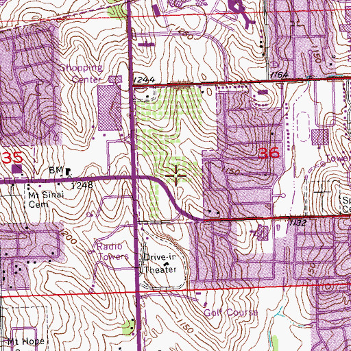 Topographic Map of Benson Election Precinct (historical), NE