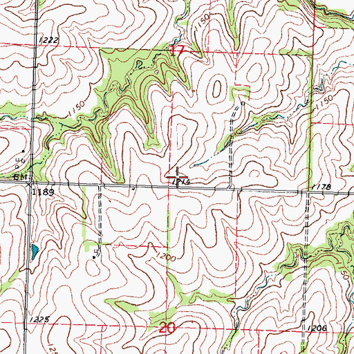 Topographic Map of Benton Election Precinct, NE