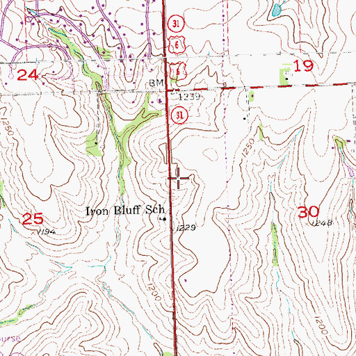 Topographic Map of Chicago Election Precinct, NE