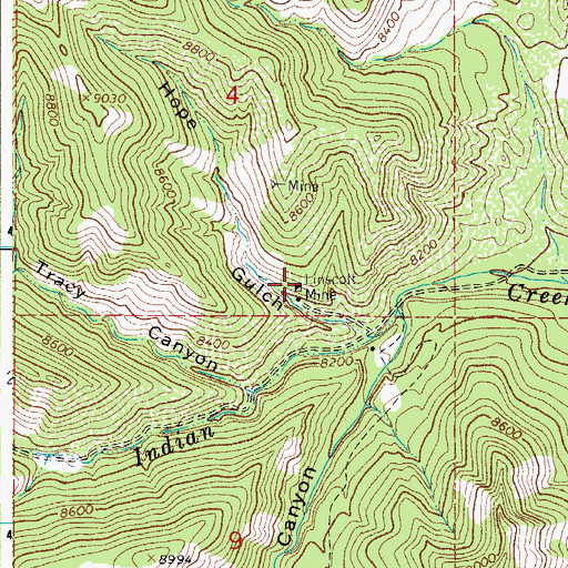 Topographic Map of Linscott Mine, CO
