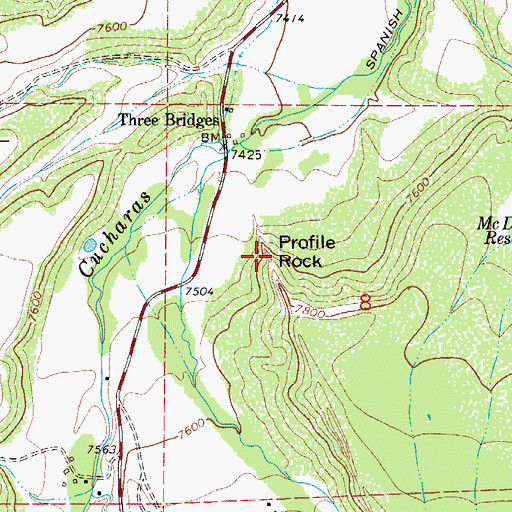 Topographic Map of Profile Rock, CO