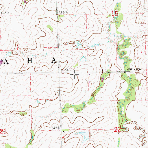 Topographic Map of Nemaha Election Precinct, NE