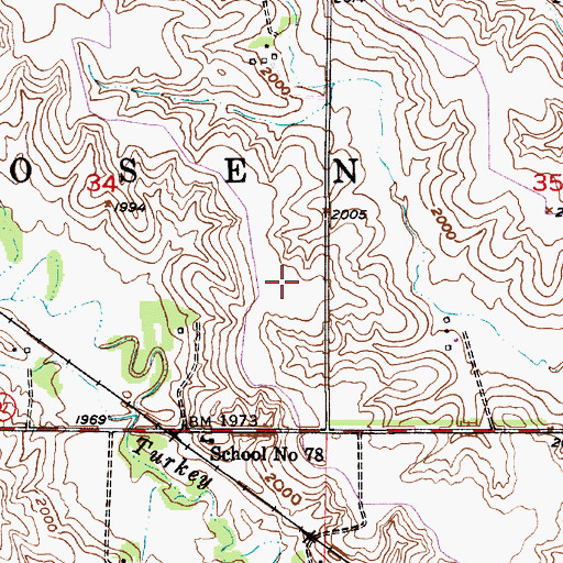 Topographic Map of Posen Election Precinct, NE