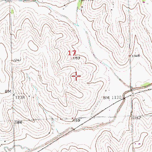 Topographic Map of Richland VII Election Precinct, NE