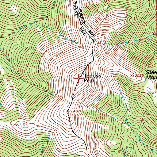 Topographic Map of Teddys Peak, CO