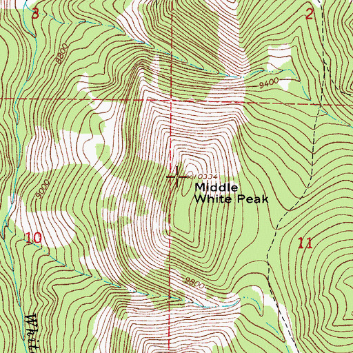 Topographic Map of Middle White Peak, CO