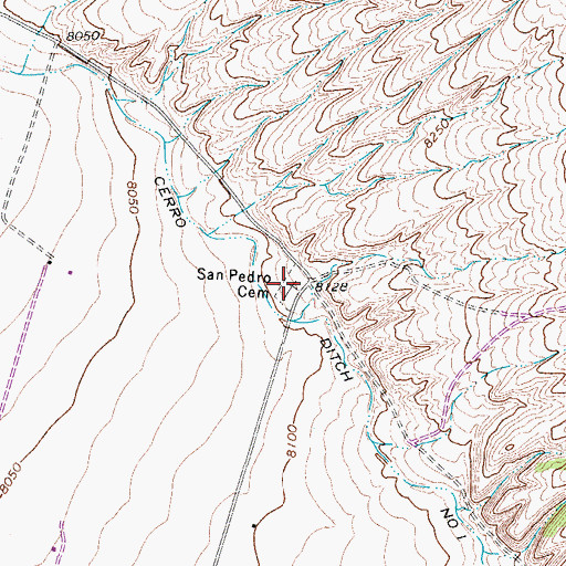 Topographic Map of San Pedro Cemetery, CO