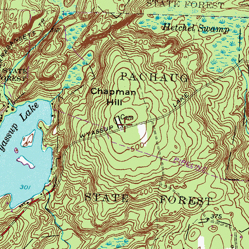 Topographic Map of Chapman Hill Cemetery, CT