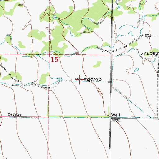 Topographic Map of Seledonio, CO