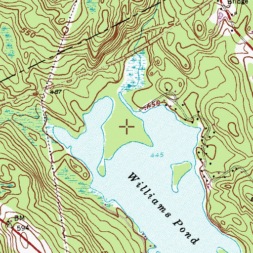 Topographic Map of Frog Plain Island, CT