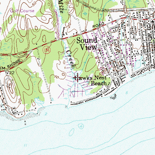 Topographic Map of Gunning Swamp, CT
