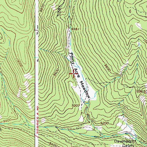 Topographic Map of Forty Acre Meadow, CO