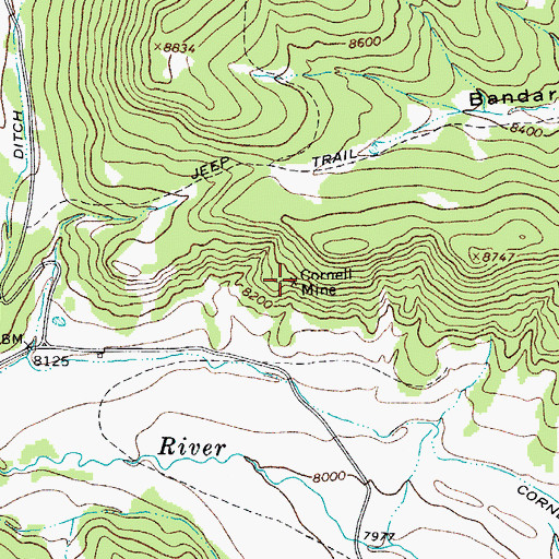 Topographic Map of Cornell Mine, CO