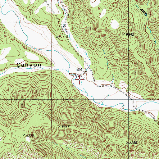 Topographic Map of Gonzales Canyon, NM