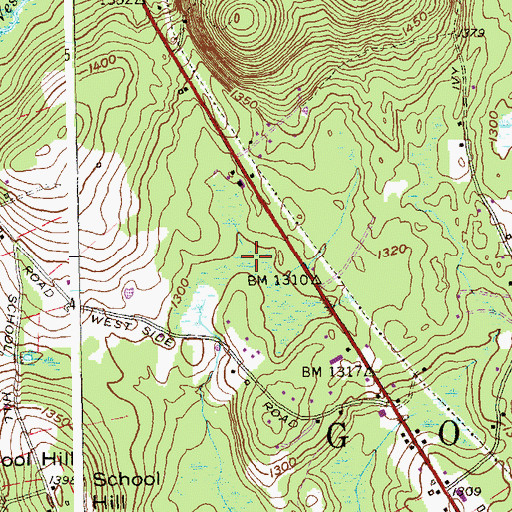 Topographic Map of Balsam Fir Swamp, CT