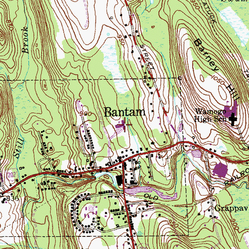 Topographic Map of Bantam School, CT