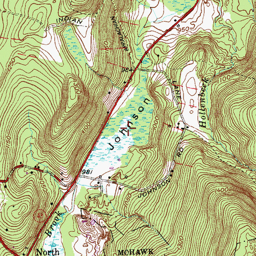 Topographic Map of Black Spruce Bog, CT