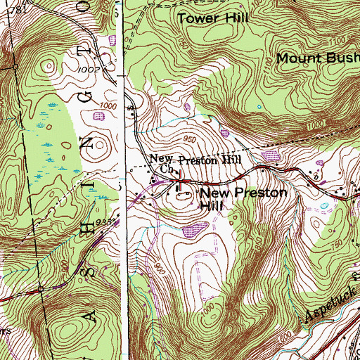 Topographic Map of New Preston Hill Historic District, CT