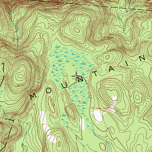 Topographic Map of Red Spruce Swamp, CT