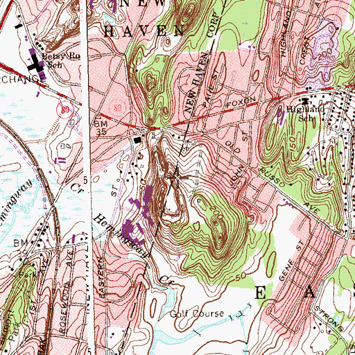 Topographic Map of Michael Street Park, CT