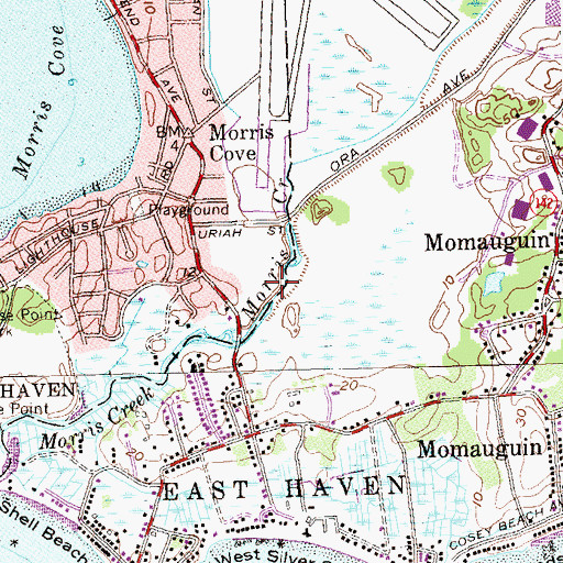 Topographic Map of Morris Neck, CT