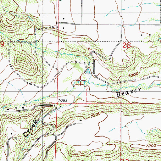 Topographic Map of Hell Creek, CO