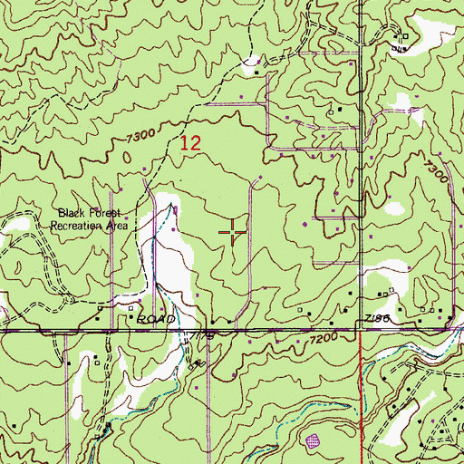 Topographic Map of Black Forest, CO