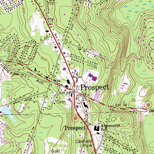 Topographic Map of Town Hall Field, CT