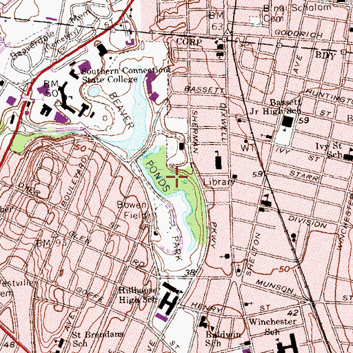 Topographic Map of Beaver Pond Meadows, CT