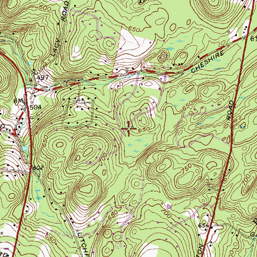 Topographic Map of Bethany Wood, CT