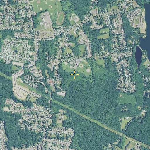 Aerial/Satellite Image of Buck Meadow, CT
