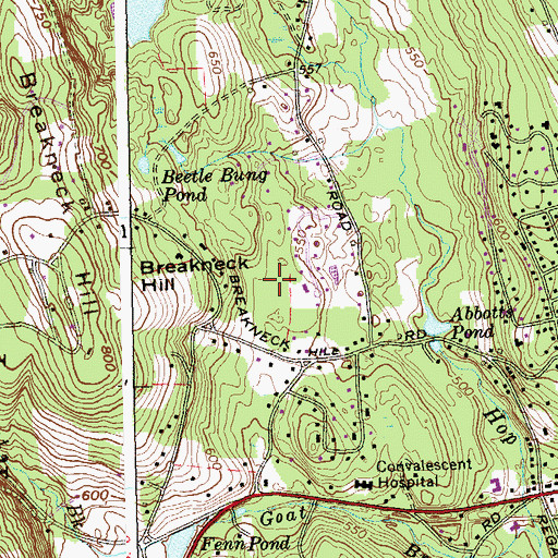 Topographic Map of Buell Flats, CT