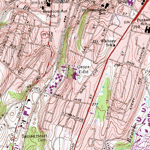 Topographic Map of Casimir Pulaski School, CT