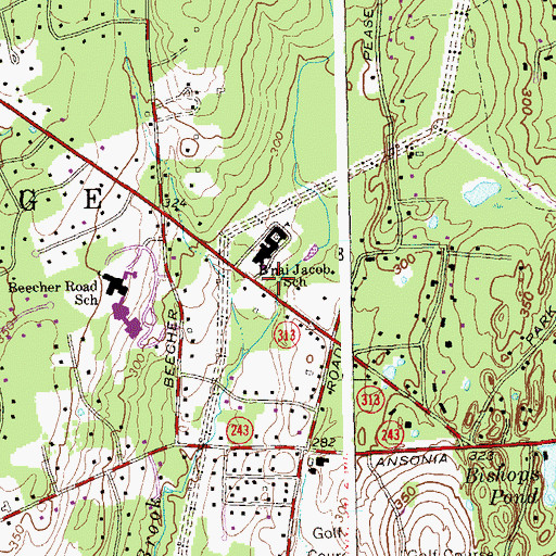 Topographic Map of Congregation B'Nai Jacob, CT