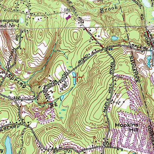 Topographic Map of Hopkins Pond, CT